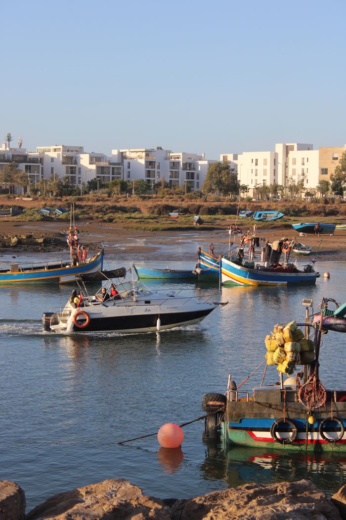 service-03 Beautiful boats in Rabat, Morocco, showcasing local marine life and architecture under a sunny sky.