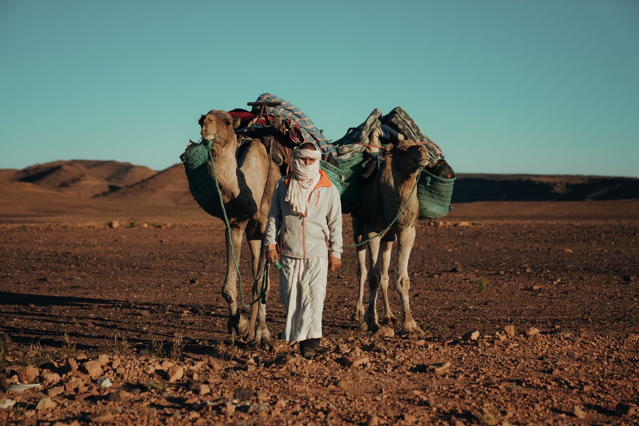 service-06 A man with camels in the expansive Sahara Desert, Morocco during the day, under clear blue skies.