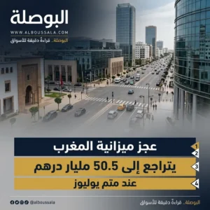 الميزانية Lwsoptimized 300x300
