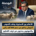 أسعار الأغنام