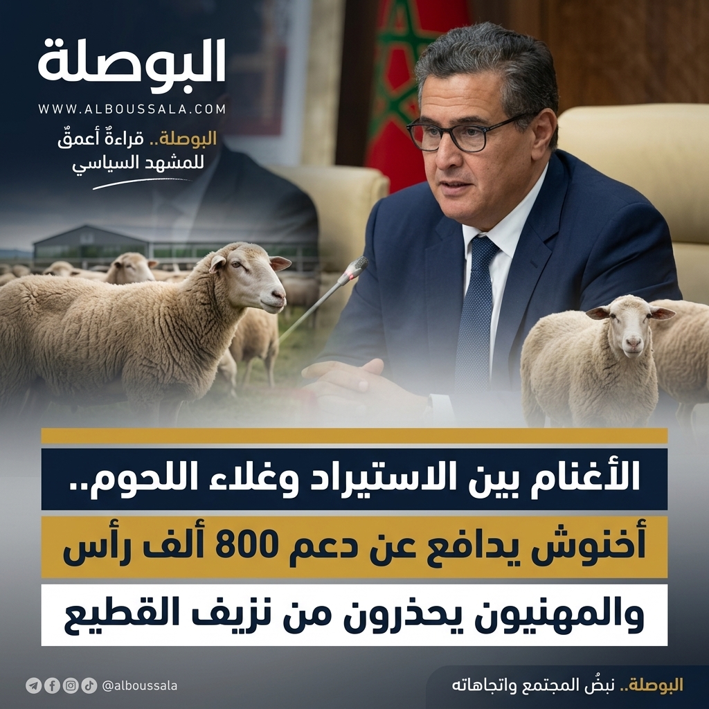 أسعار الأغنام