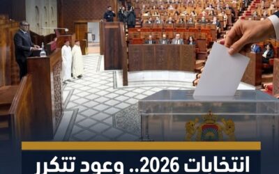 الاتاخابات