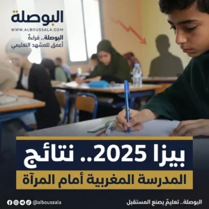 بيزا 2025 Lwsoptimized 300x300