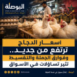 دجاج