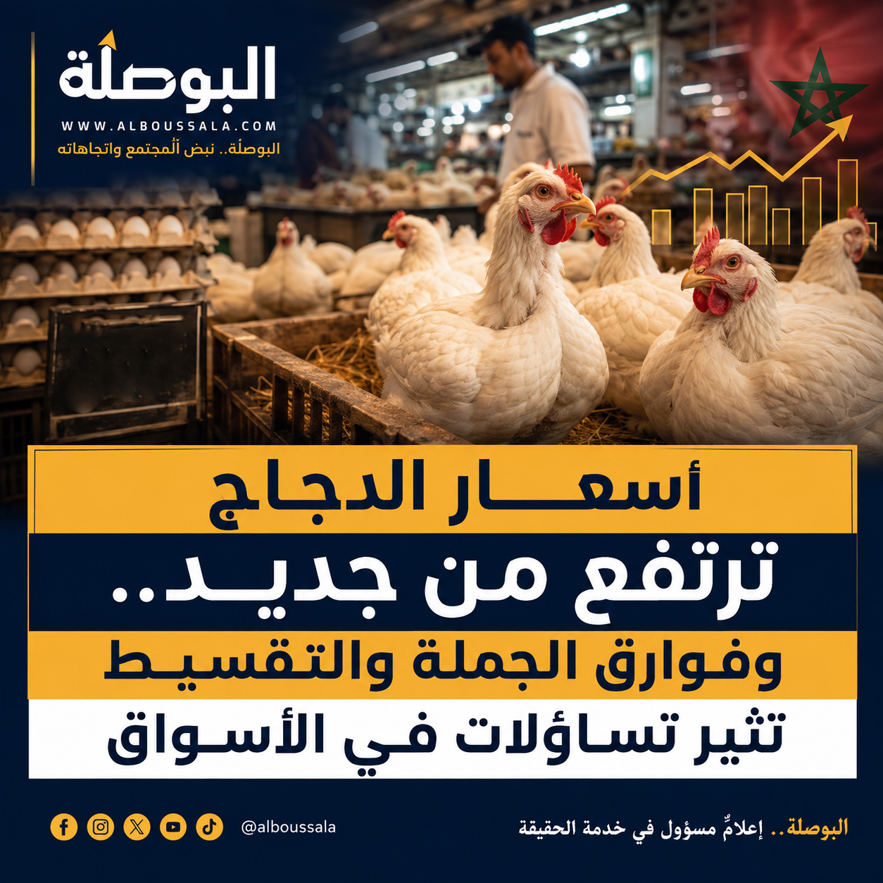 دجاج