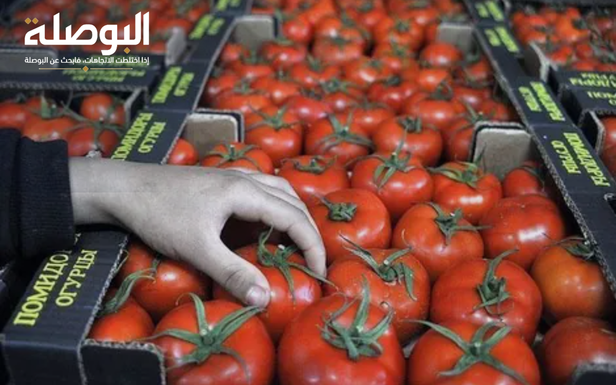حصة السوق وكلفة العطش: عندما تُبنى معادلة التصدير على أنقاض الأمن الغذائي