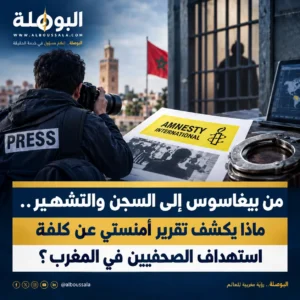 امنيستي 2 Lwsoptimized 300x300